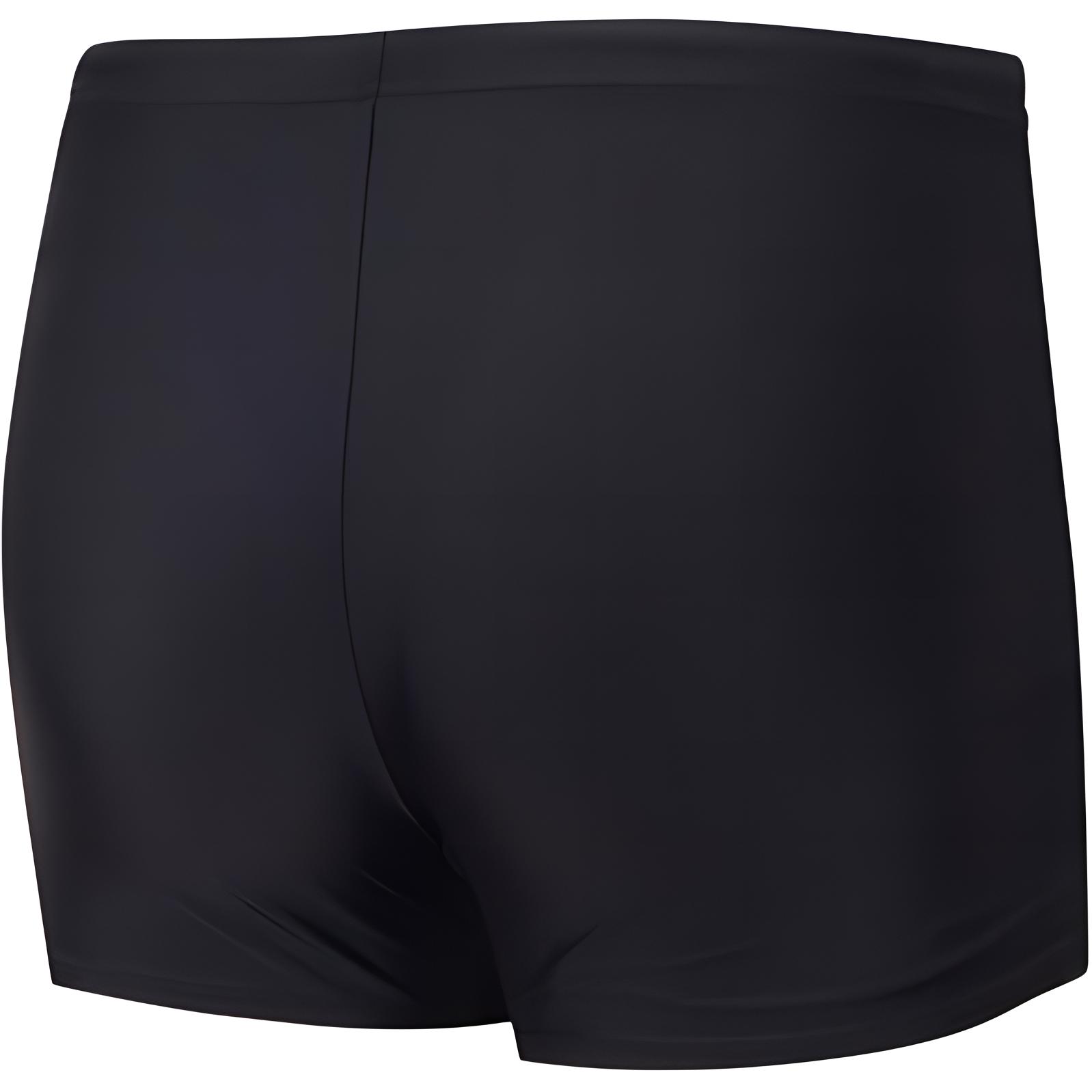 Speedo Swimming Shorts Men’s Black