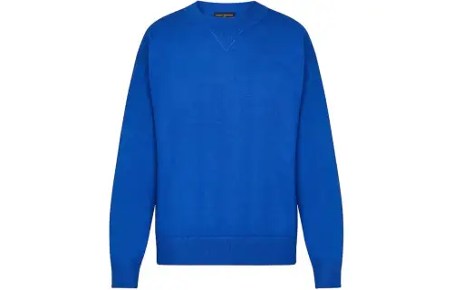 LOUIS VUITTON Sweater Men's Blue