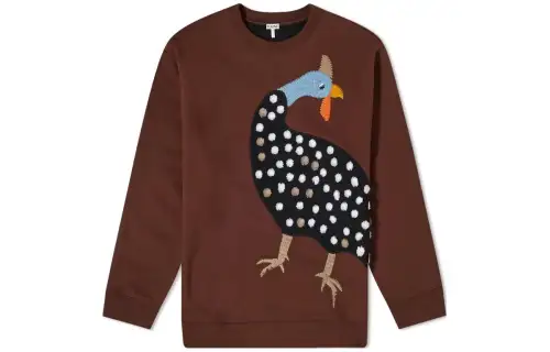 LOEWE Sweaters Men's Brown Crew Neck Moderate Other