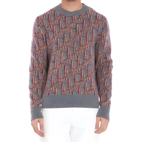 DIOR Sweaters Men's Gray Crew Neck Moderate
