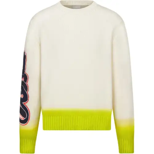 DIOR X Kaws Sweater