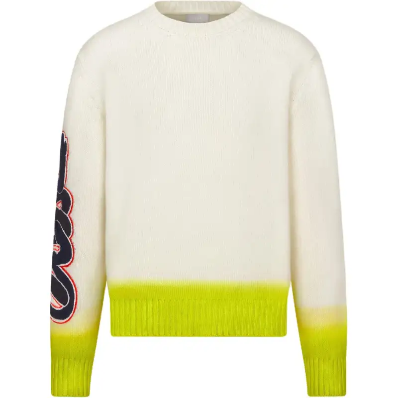 DIOR X Kaws Sweater