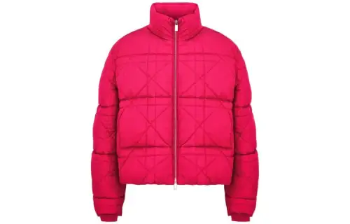 DIOR X Erl Down Jacket
