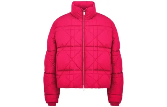 DIOR X Erl Down Jacket