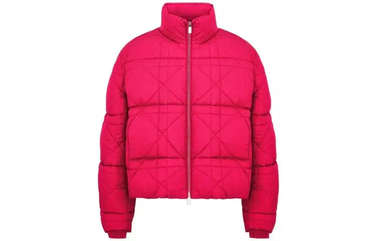 DIOR X Erl Down Jacket