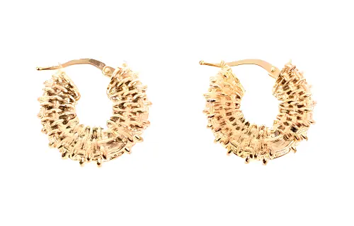 Bottega Veneta Earrings Women's Gold