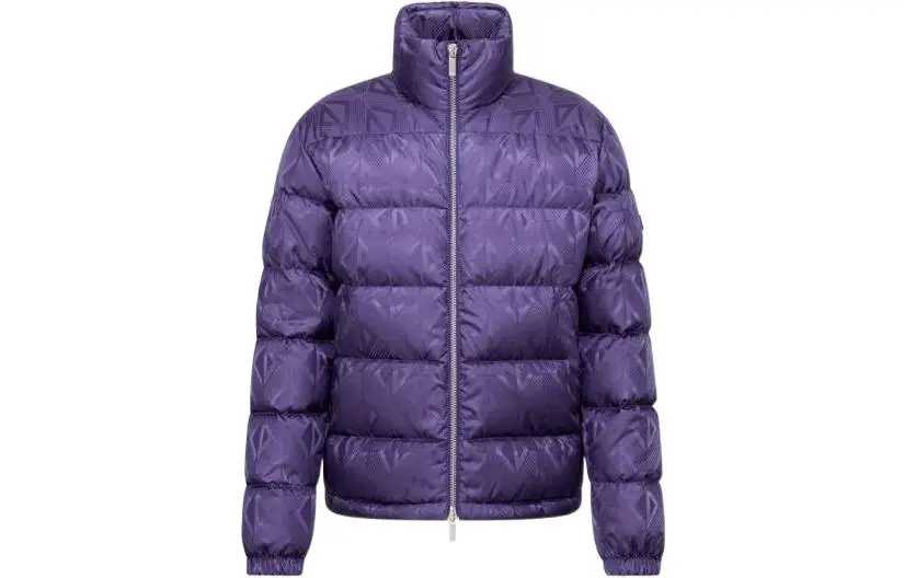 DIOR SS22 Down Jacket Men's Purple