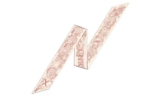 DIOR Scarves Women's Pink