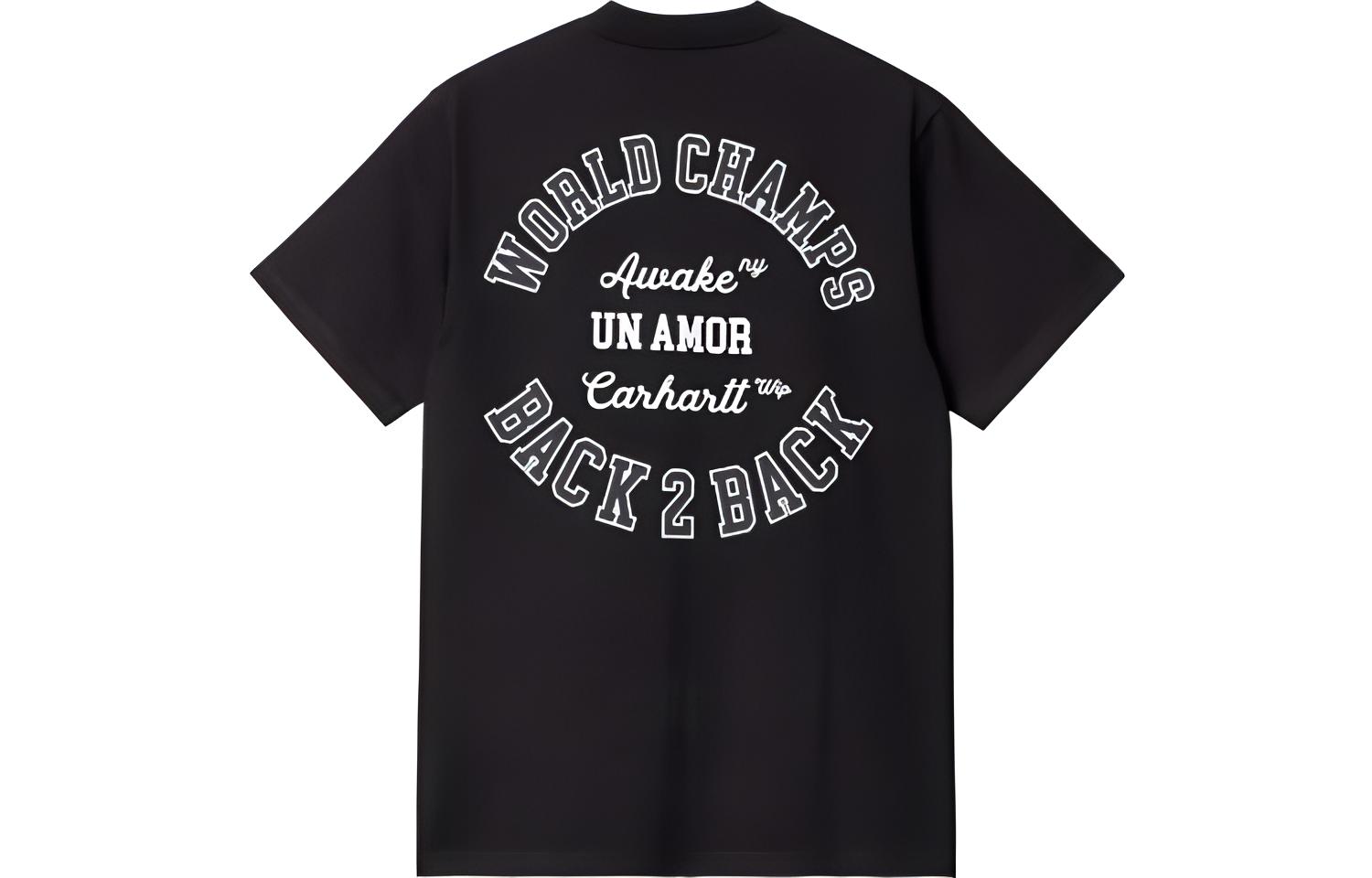 Футболка Carhartt WIP X Awake NY (разноцветная)