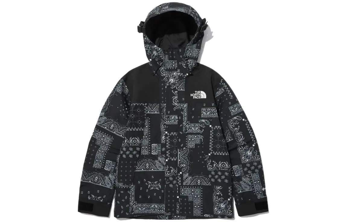 THE NORTH FACE Novelty Eco Gtx Mountain Jacket Matt Black Unisex Korea Version