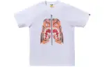Bape Embroidery Style Tiger Tee