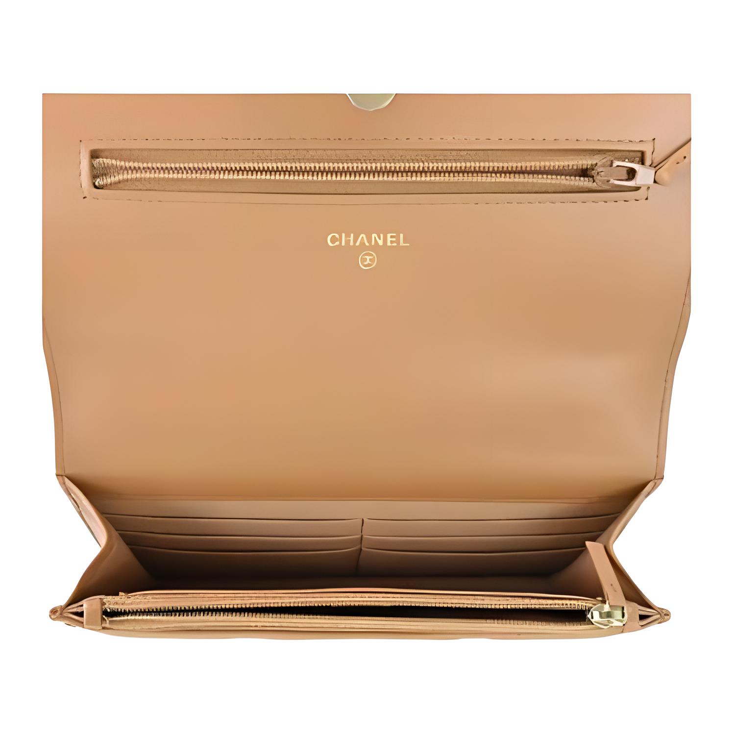 Женская сумка Chanel 19BagWOC (коричневая) — фото 4