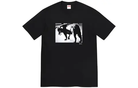 Supreme SS22 T Shirt Unisex Clothing