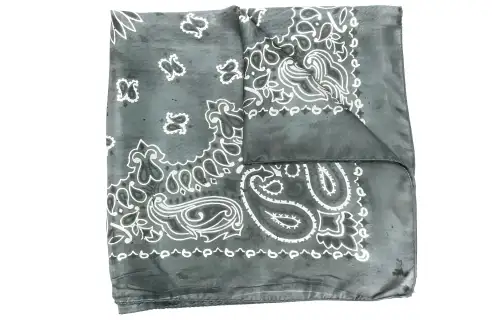 Golden Goose Deluxe Brand Paisley Printed Scarf