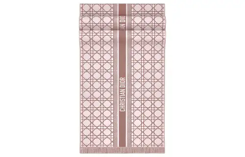 DIOR Knit Scarves Women's Pink