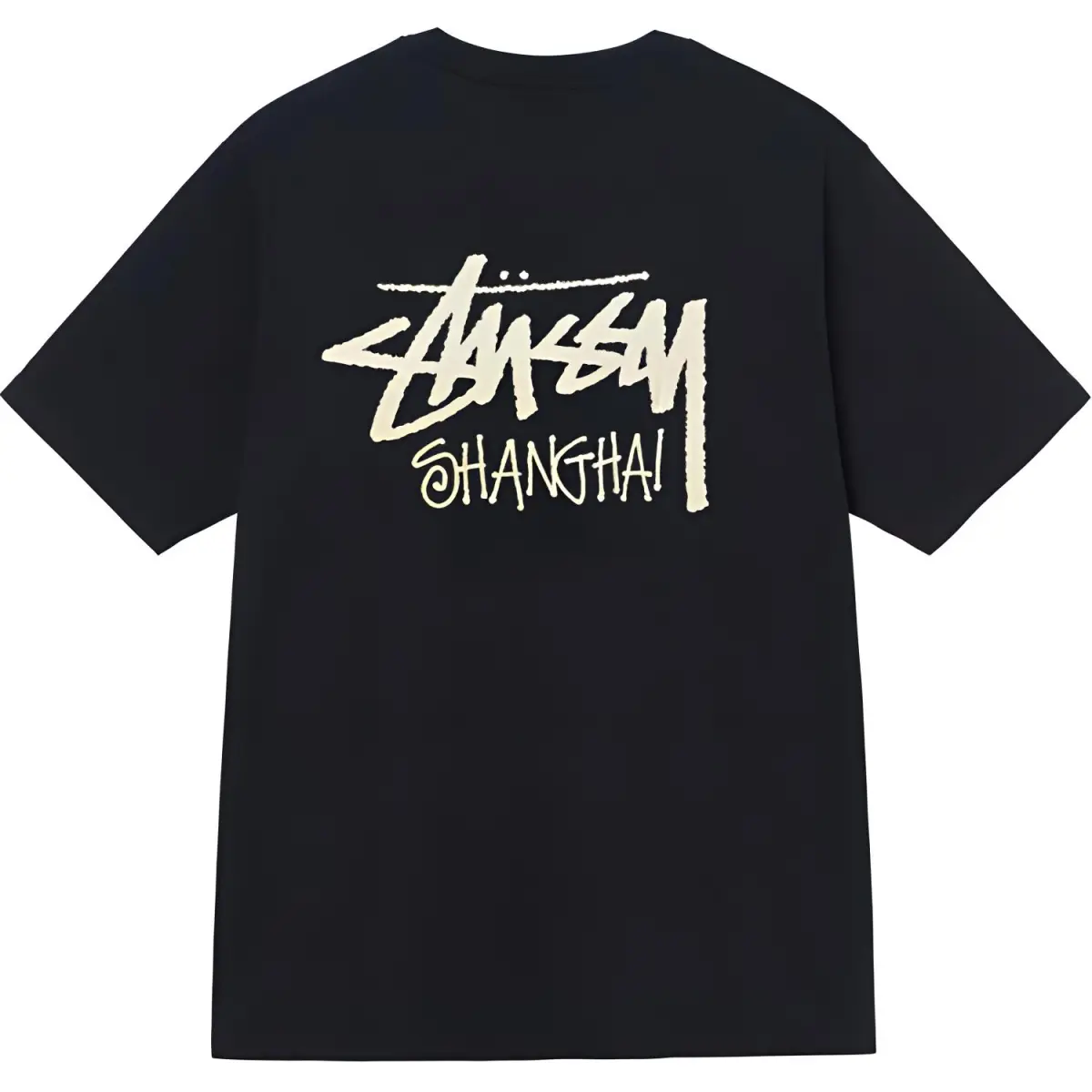 Stussy Fall 2024 T Shirt Unisex
