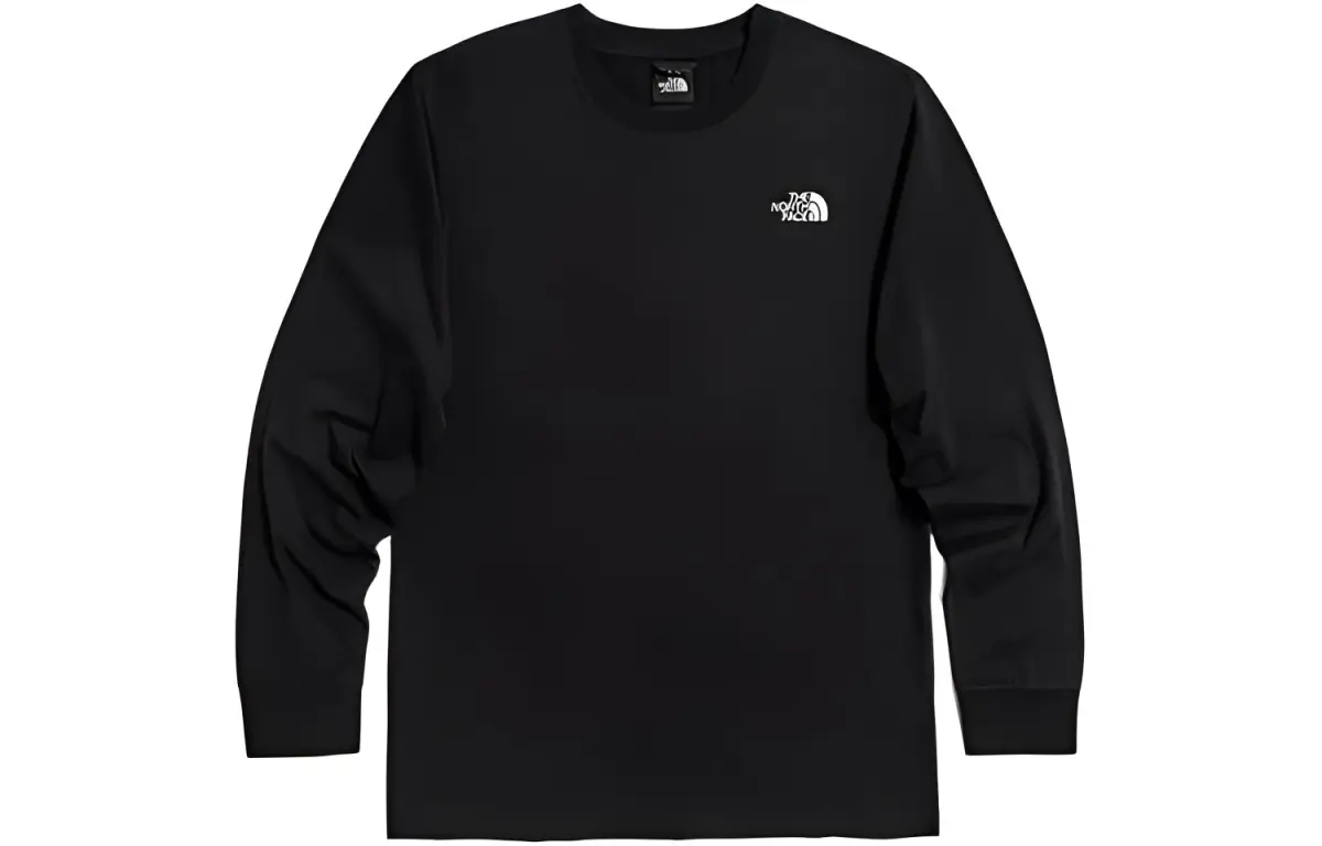 THE NORTH FACE Urban Exploration T-Shirts Men's Black Crew Neck Moderate Straight Fit