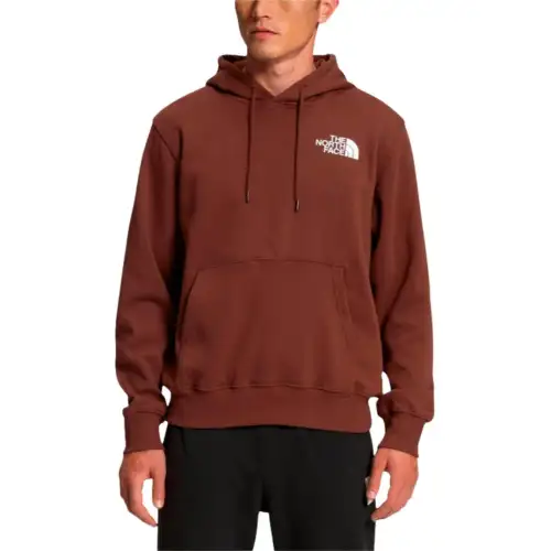THE NORTH FACE Sweatshirt Men's Brown