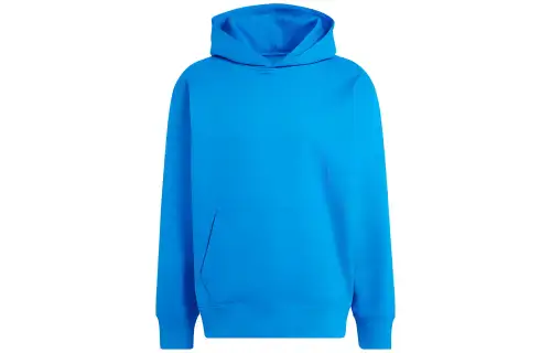 Adidas Ivy Park Terry Hoodie All Gender