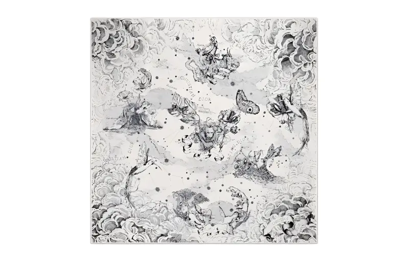 DIOR Scarves Women's