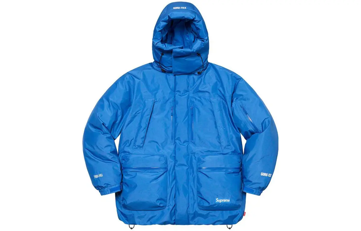 Supreme GORE TEX 700 Fill Down Parka FW22