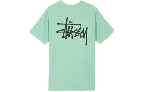 Stussy Basic Tee T Shirt Unisex Green