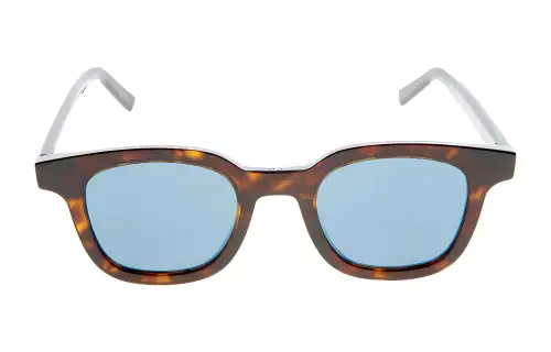 DIOR Sunglasses Men's Tortoiseshell