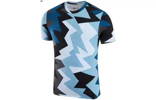 Jordan T Shirts Men's Multicolor Crew Neck Moderate Straight Fit