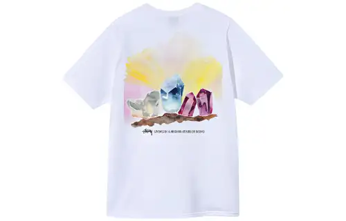 Stussy T Shirts Unisex Crew Neck Moderate Straight Fit