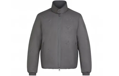 LOUIS VUITTON FW21 Down Jacket Men's Gray