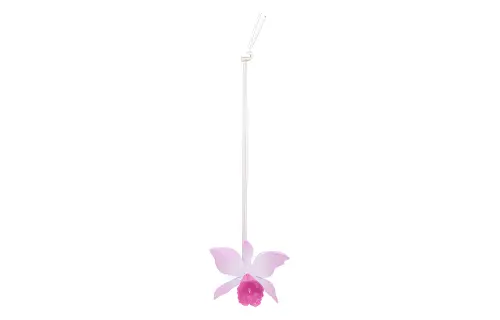 LOEWE Orchid Charm Keyring