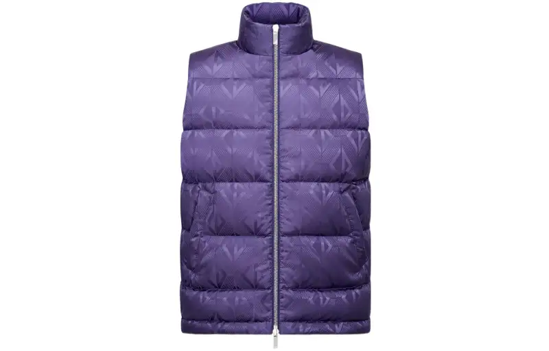 DIOR Down Vests Men's Purple Stand Collar Moderate