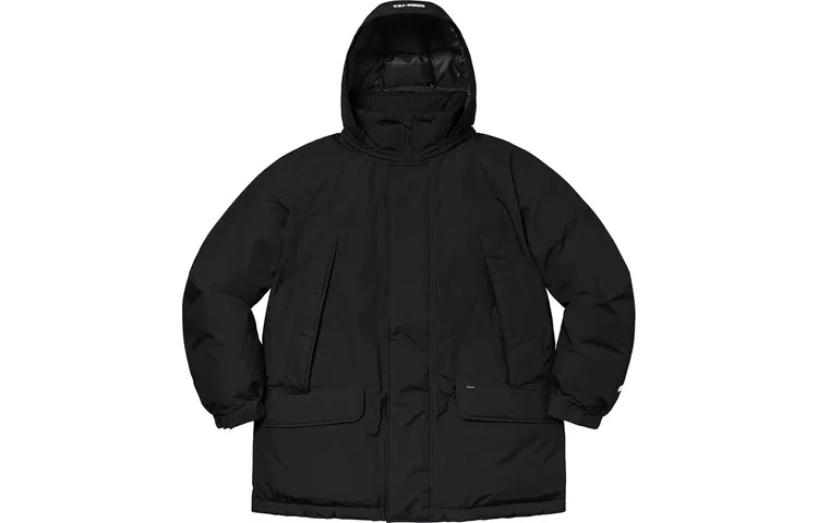 Supreme GORE TEX 700 Fill Down Parka