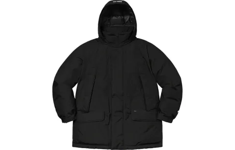 Supreme GORE TEX 700 Fill Down Parka