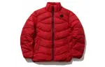 Li Ning Down Jackets Men's Winter Green Red Stand Collar Moderate