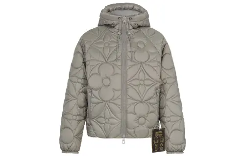 LOUIS VUITTON Down Jacket Men's Gray