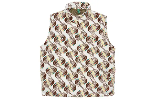 GUCCI X The North Face Down Vest