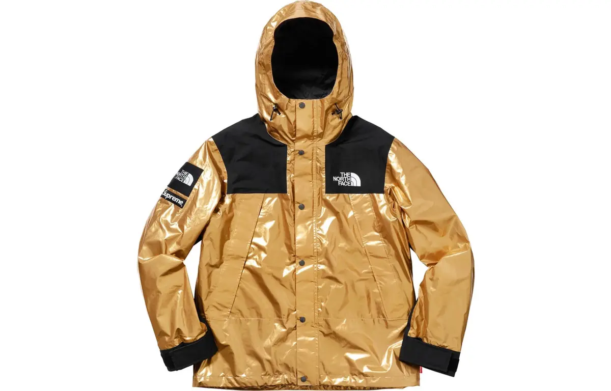 Supreme x The North Face Mountain hooded jacket