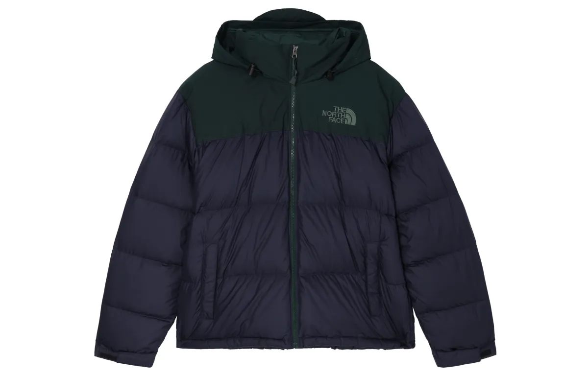 THE NORTH FACE 1996 Down Jacket Winter Men's Blue Green Multicolor