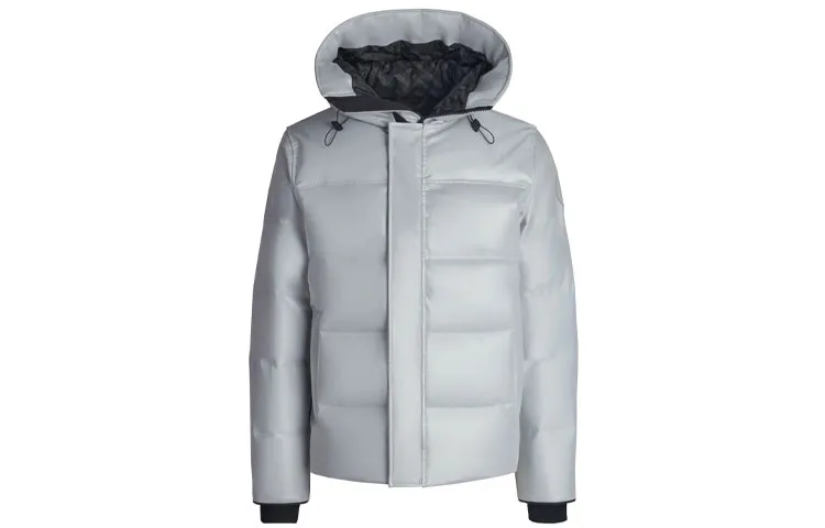 Canada Goose Down Jacket Unisex Silver Gray