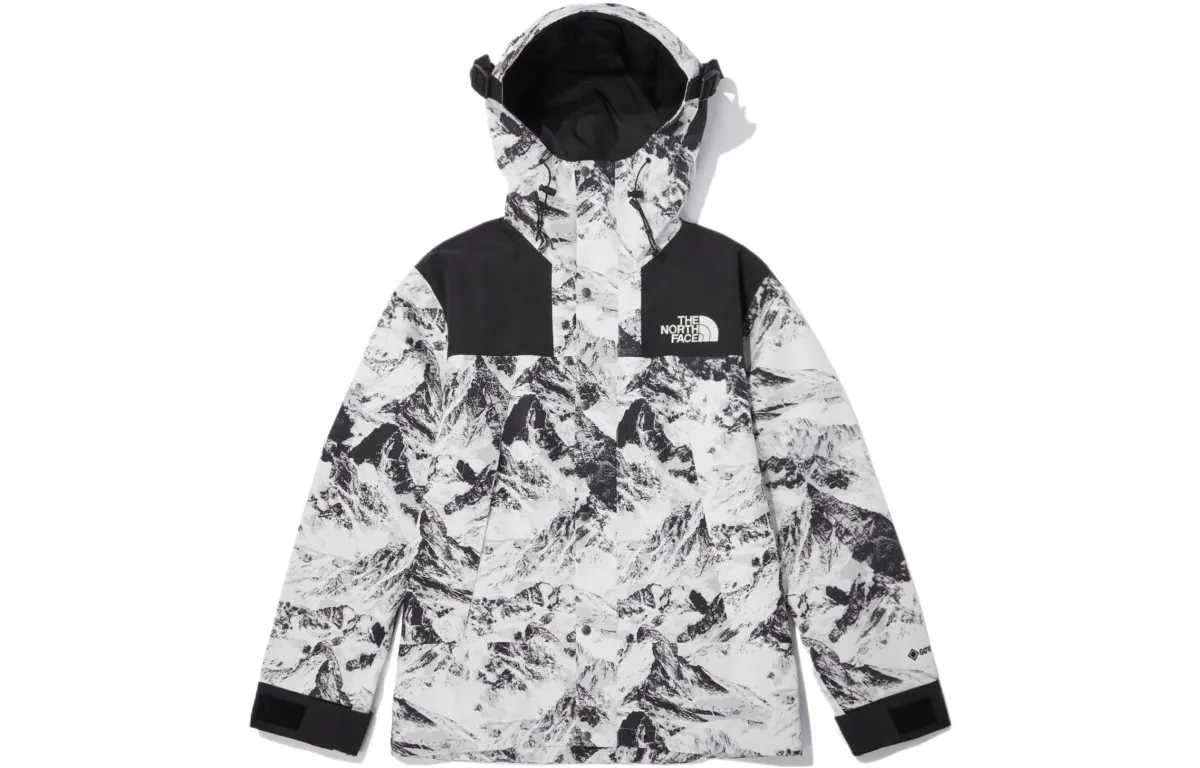 THE NORTH FACE Novelty Eco Gtx Mountain Jacket Nutral Gray Unisex Korea Version