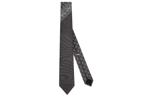 DIOR Ties Men's Gray