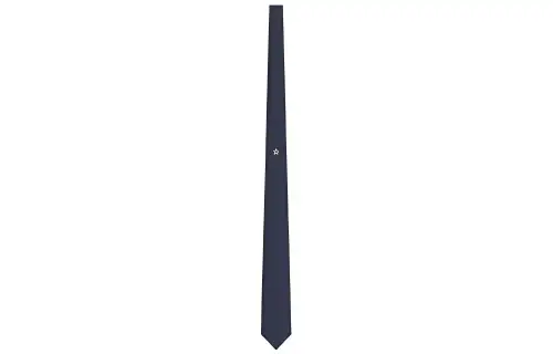 DIOR Ties Men's Marine Blue