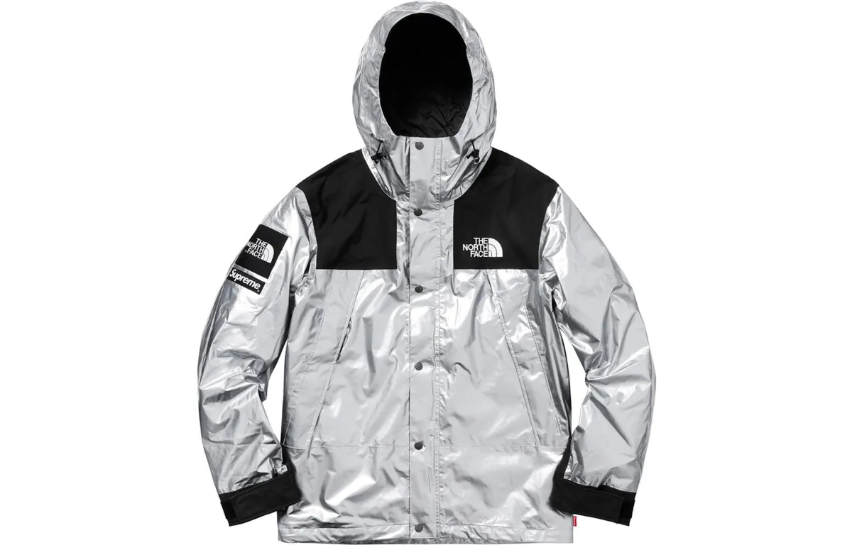 Supreme X The North Face Metallic Mountain Parka