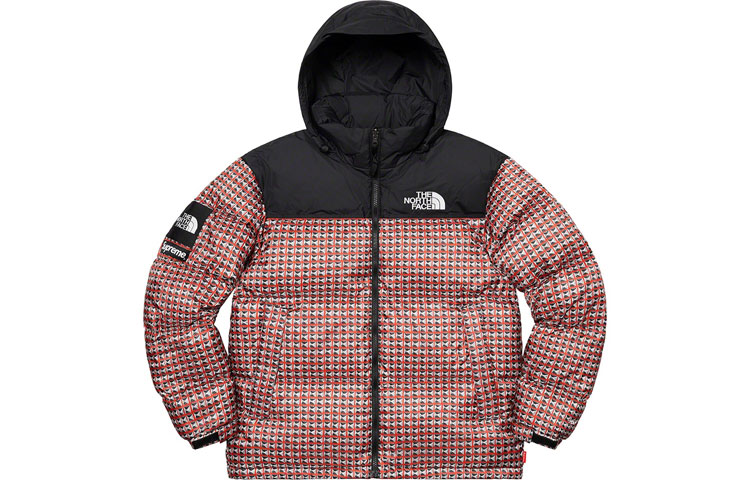Пуховик Supreme x The North Face (серебряный)