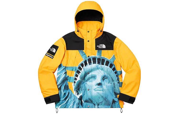 Supreme x The North Face Mountain jacket