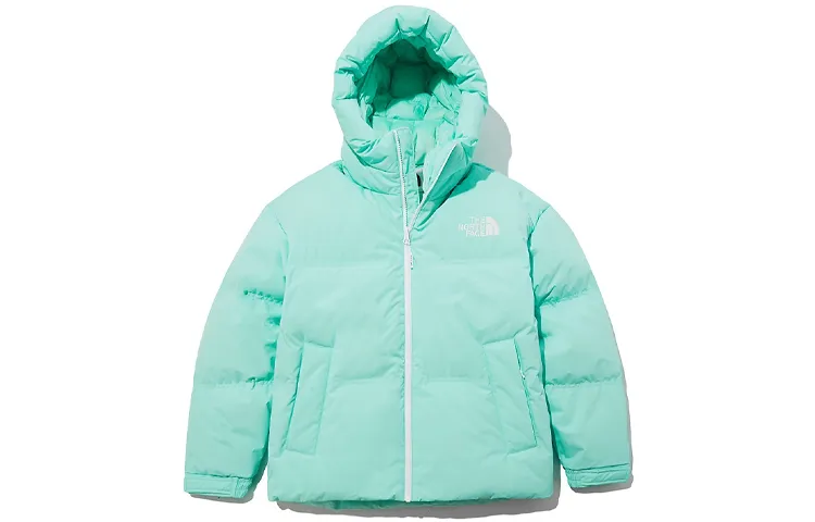 THE NORTH FACE 1996 Down Jackets Unisex Light Green Hooded (Non-detachable) Moderate
