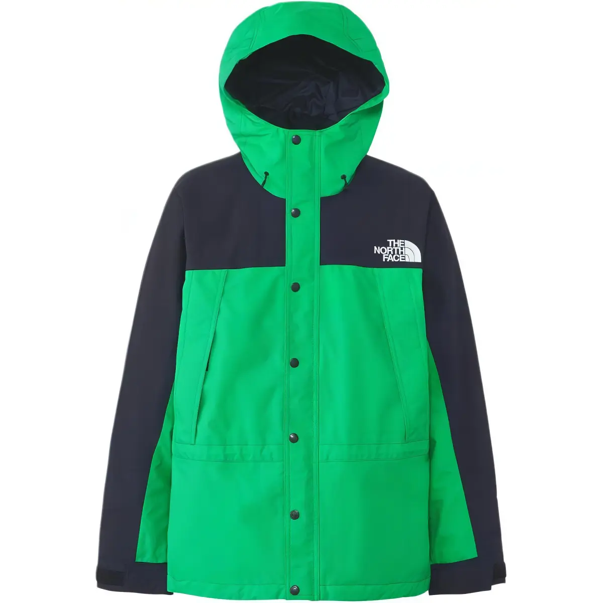 THE NORTH FACE Jackets & Coats Men's Jadeite Green