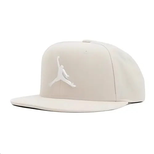 Jordan Polyester Baseball Caps Men's Multicolor