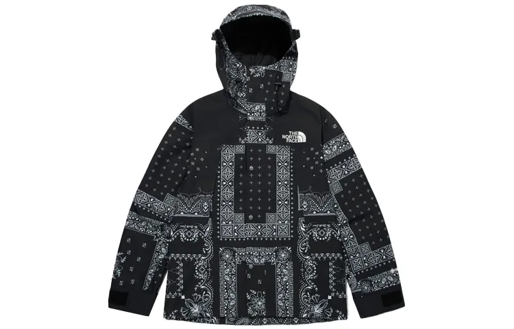 THE NORTH FACE Eco Gtx Mountain Jacket Black Korea Version